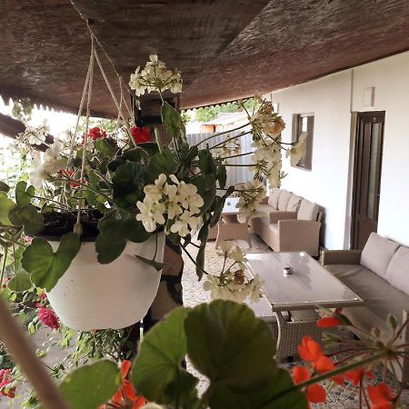 Casa Chitu ξενώνας Murighiol Εξωτερικό φωτογραφία