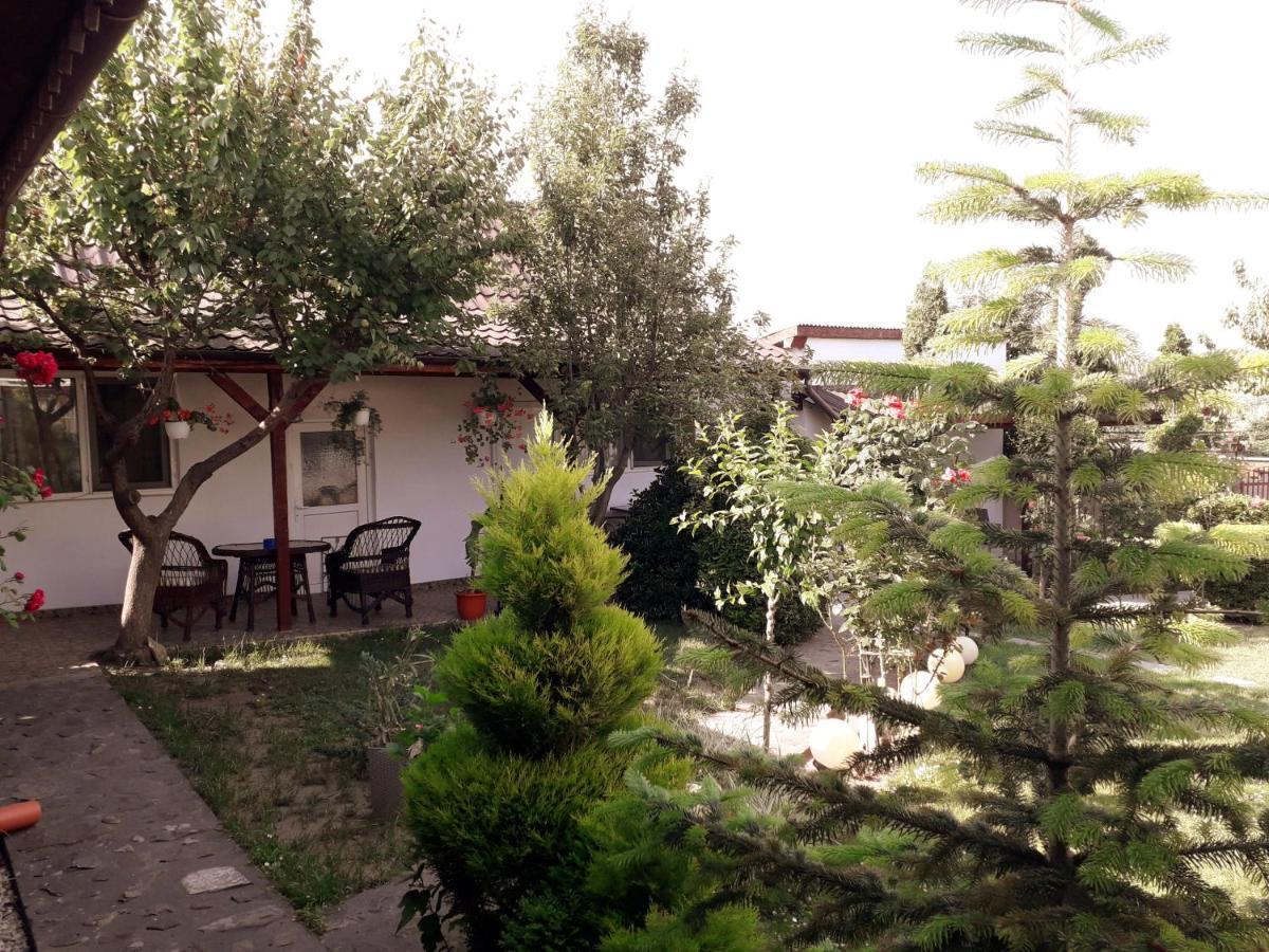 Casa Chitu ξενώνας Murighiol Εξωτερικό φωτογραφία