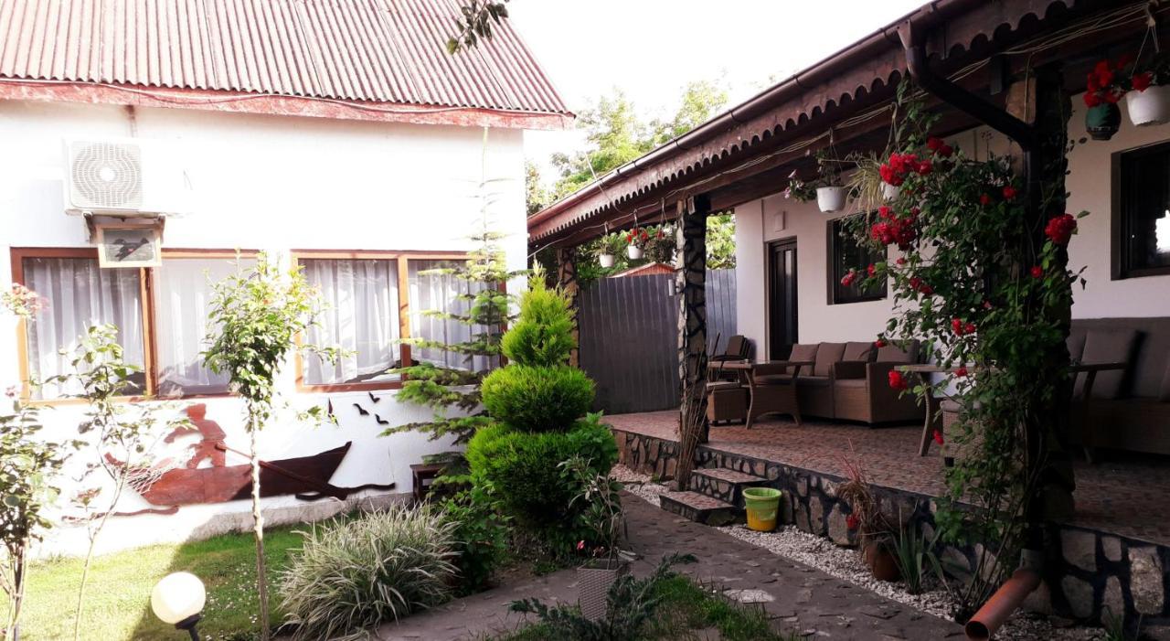 Casa Chitu ξενώνας Murighiol Εξωτερικό φωτογραφία