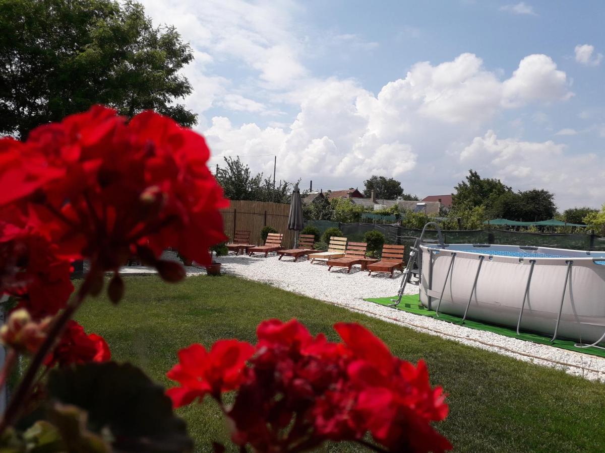 Casa Chitu ξενώνας Murighiol Εξωτερικό φωτογραφία