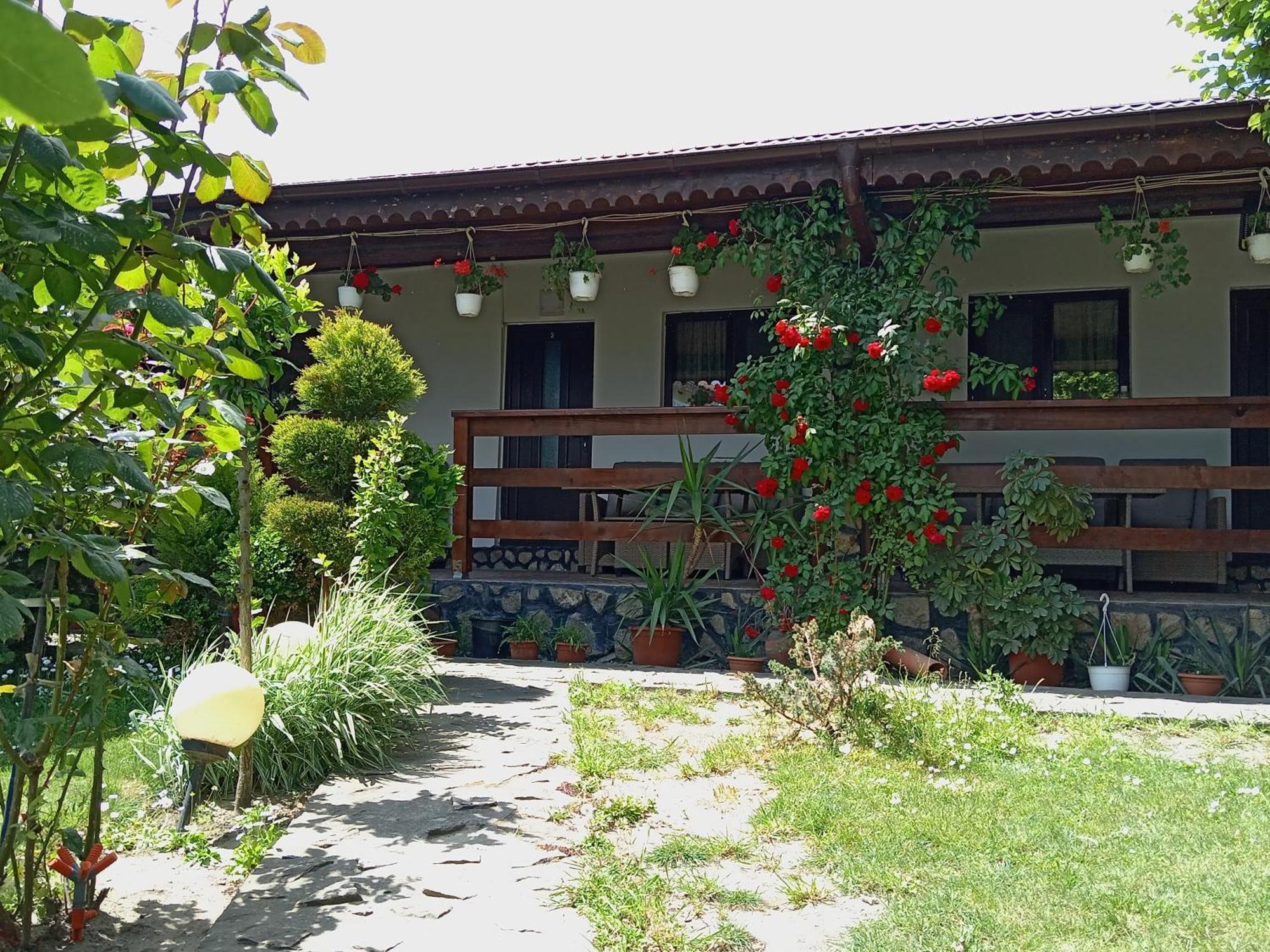 Casa Chitu ξενώνας Murighiol Εξωτερικό φωτογραφία